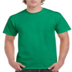 Gildan Ultra Cotton Adult T-Shirt (2000) - Image 3