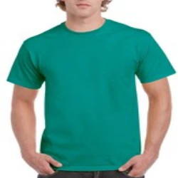 Gildan Ultra Cotton Adult T-Shirt (2000) - Image 6