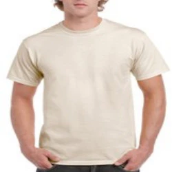 Gildan Ultra Cotton Adult T-Shirt (2000) - Image 8